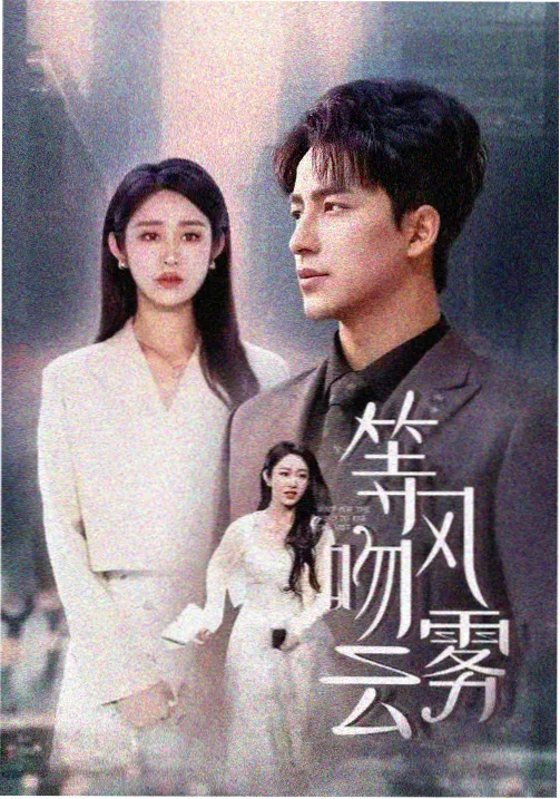 樱桃影院悬疑剧沉默的证词